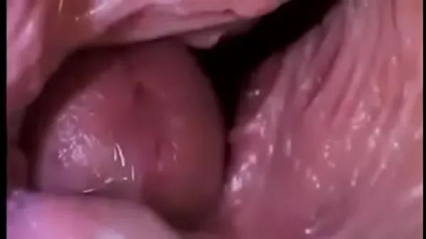 XXX Dick Inside a Vagina top Videos