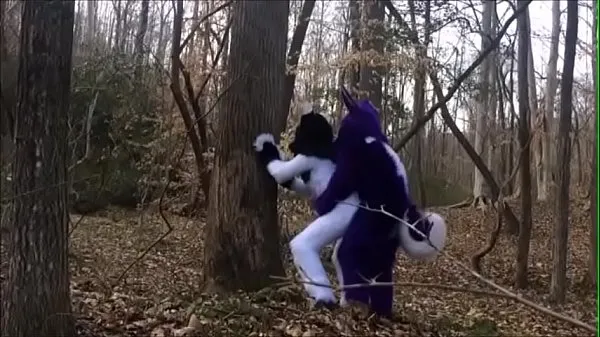 XXX Fursuit Couple Mating in Woods top Videos