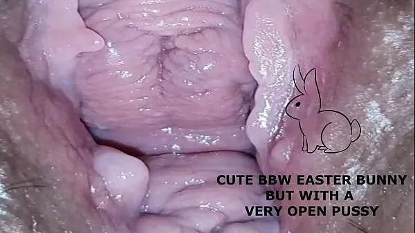 Najboljši videoposnetki XXX Cute bbw bunny, but with a very open pussy